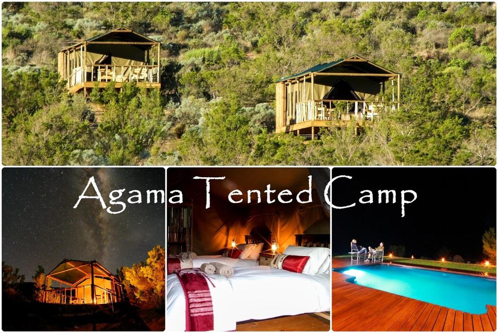 Agama Tented Camp (Garies)