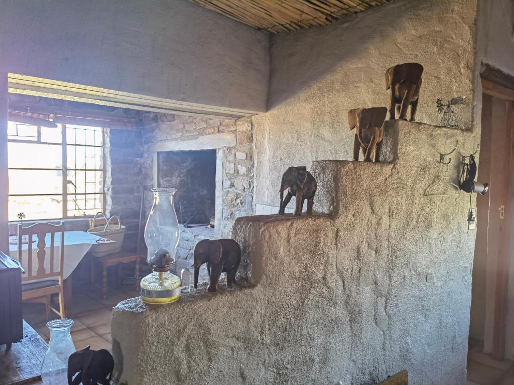 Blesfontein Guest Farm (Sutherland)