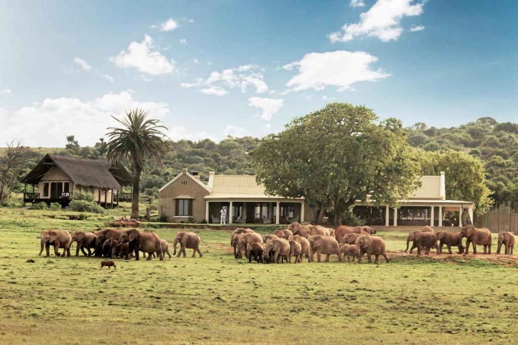 Gorah Elephant Camp (Addo)