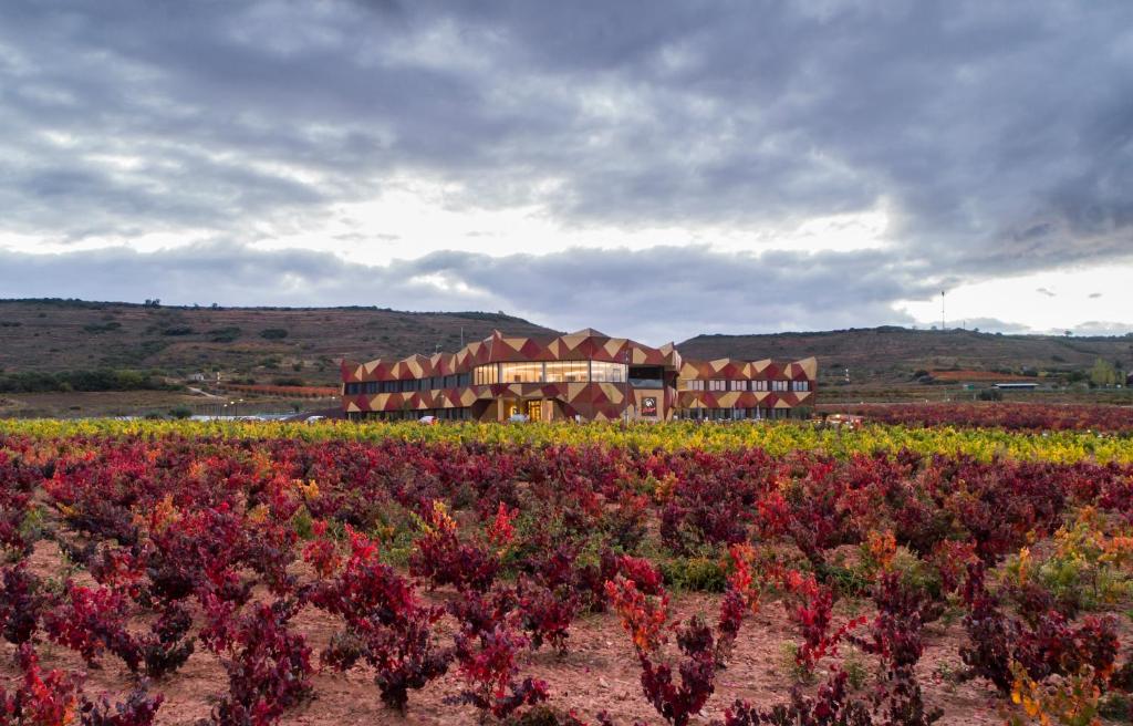 Hotel Bodega FyA - GRUPO PIÉROLA (Navarrete)