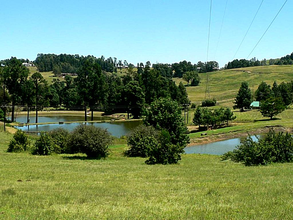 Troutbagger Farm