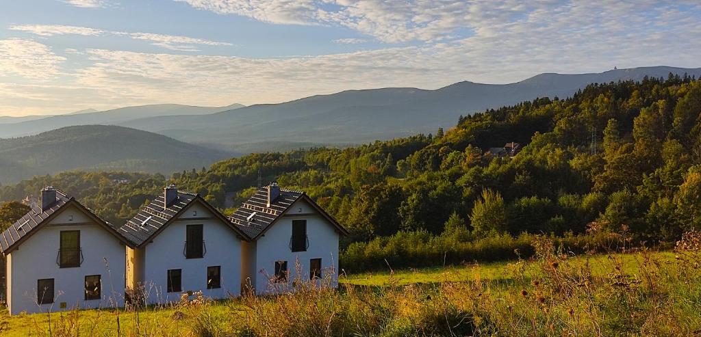 Domki Na Skale