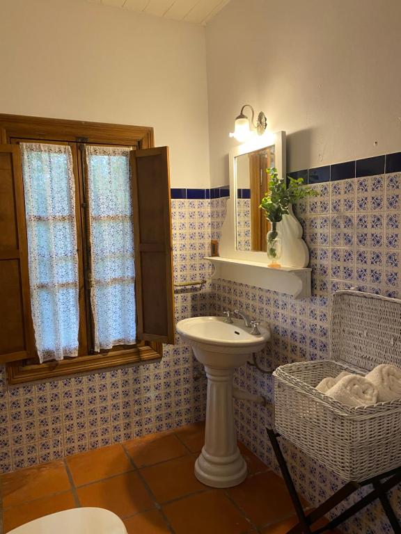 Don Aniceto - Suites de Campo