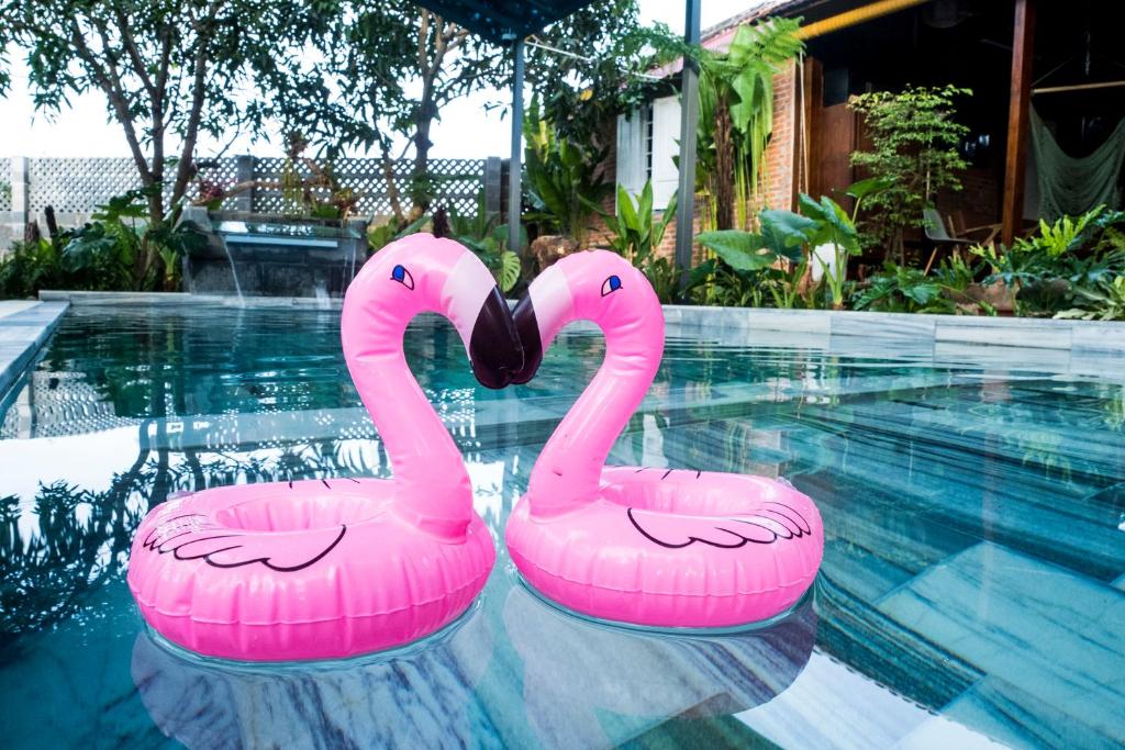 Eco House Villa - Homestay Mới Khai Trương, Nội Thất Đẹp, Miễn Phí Hồ Bơi
