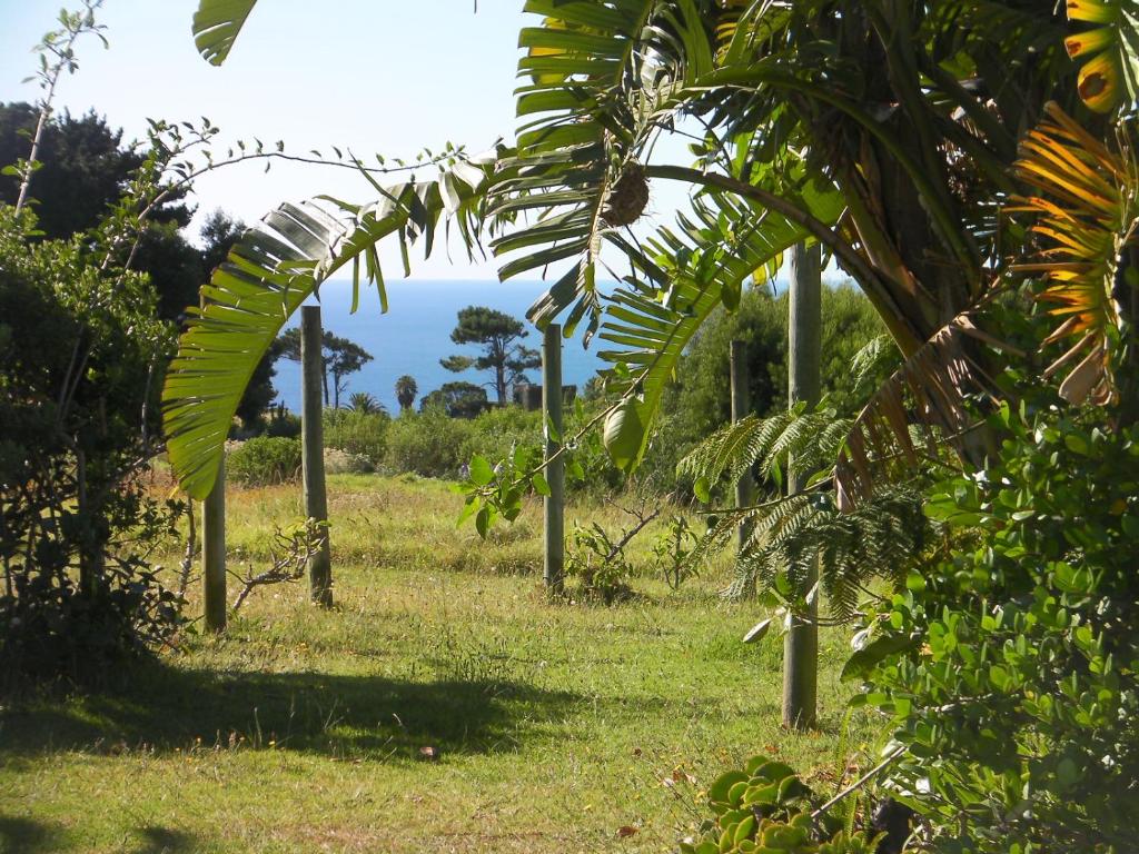 Tsitsikamma on Sea Self-catering Cottages