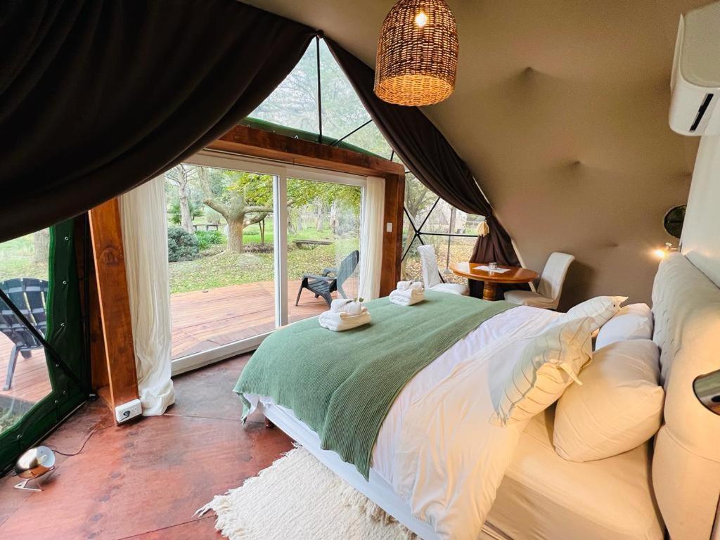 Don Aniceto Lodges & Glamping
