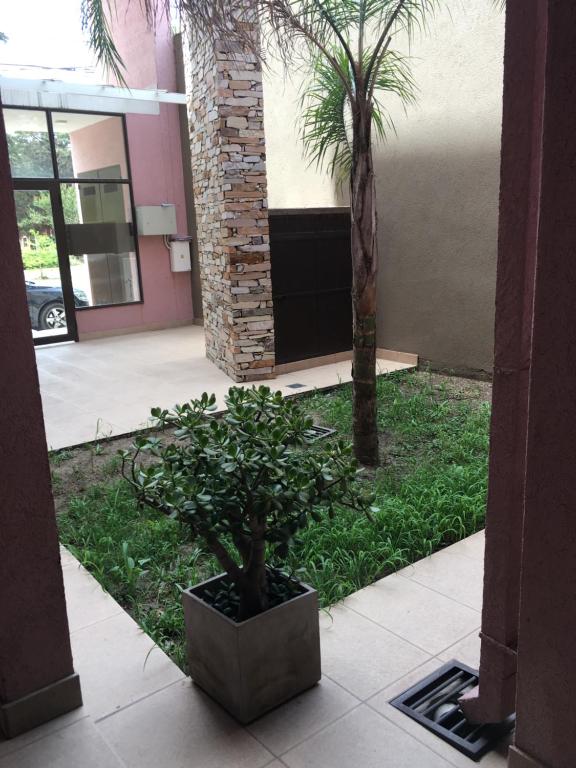 Real .Departamento