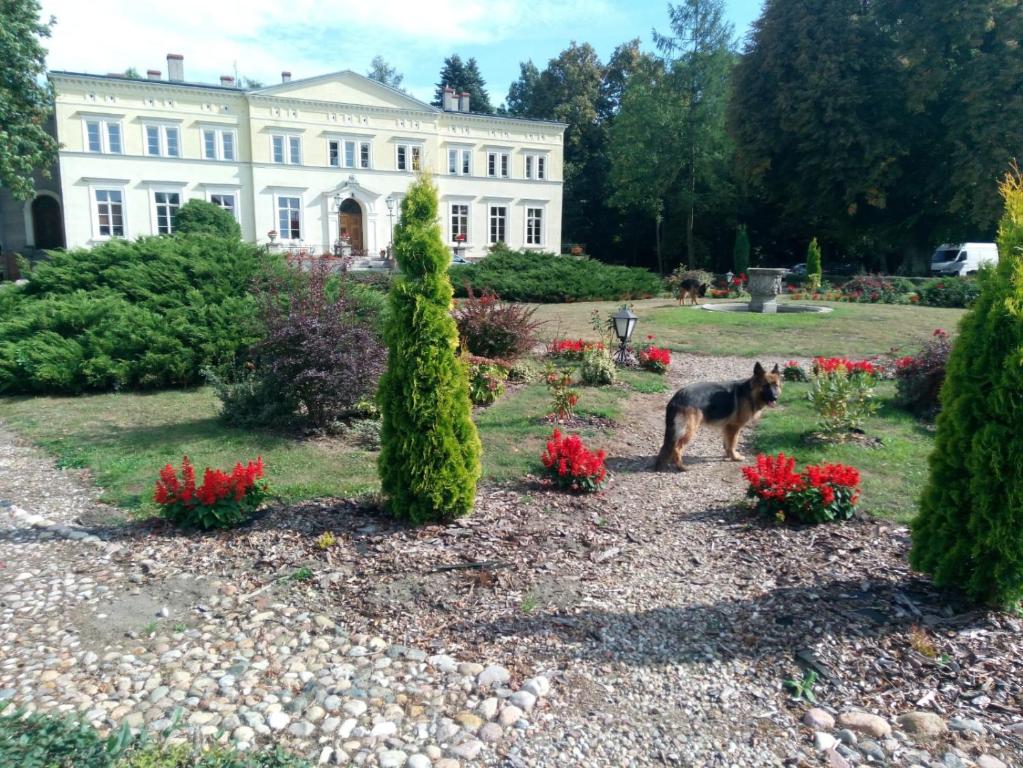 Pałac Kwilecki -AGROTURYSTYKA PREMIUM & SPA