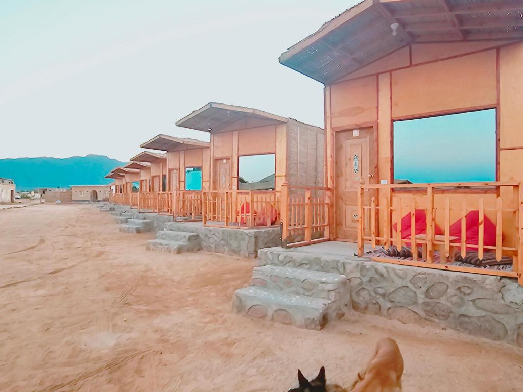 Star Dune Camp
